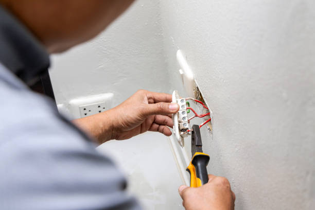 Best Electric Panel Repair  in Reform, AL